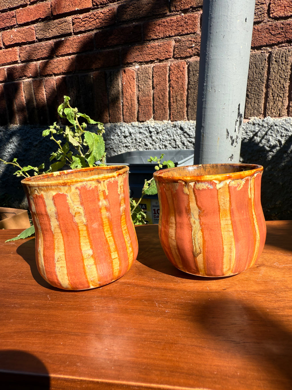 Striped cups